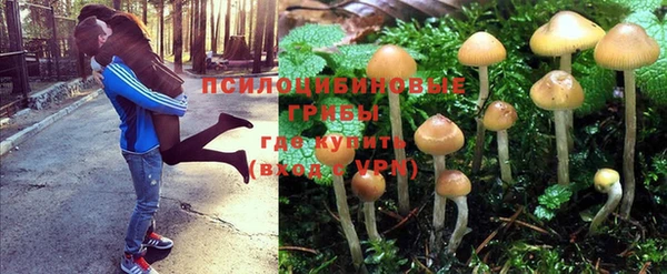 марки lsd Семикаракорск