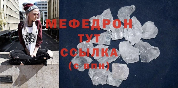 стаф Семилуки