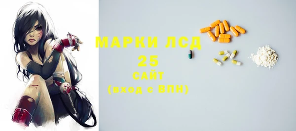 стаф Семилуки