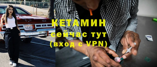 стаф Семилуки