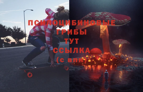 сатива Снежинск