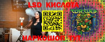индика Гай