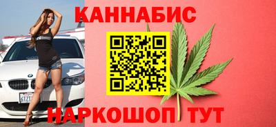 индика Гай