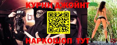 индика Гай