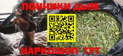 индика Гай