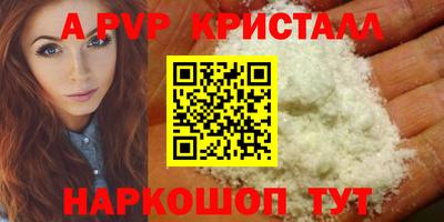 индика Гай