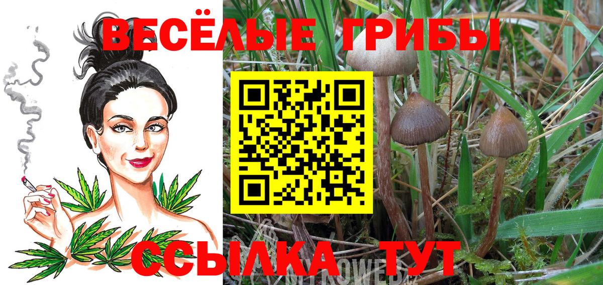 Сорочинск  что такое наркотик  Вход с VPN  Галлюциногенные грибы MAGIC MUSHROOMS 