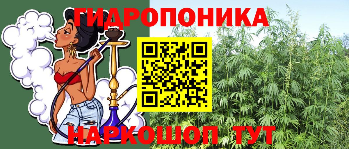 МАРИХУАНА планчик  Марихуана конопля  Конопля AK-47  Сорочинск  Вход с VPN  Бошки марихуана THC 21% 